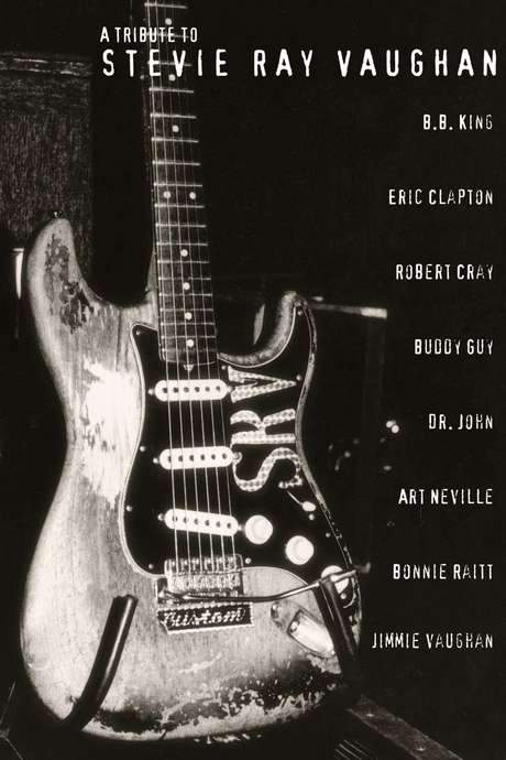 A Tribute to Stevie Ray Vaughan
